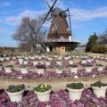 「ふなばしアンデルセン公園」でメルヘンな風景とお花畑を満喫！